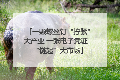 一颗螺丝钉“拧紧”大产业 一张电子凭证“链起”大市场