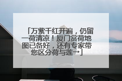 万紫千红开遍，仍留一荷清凉！厦门赏荷地图已备好，还有专家带您区分荷与莲→
