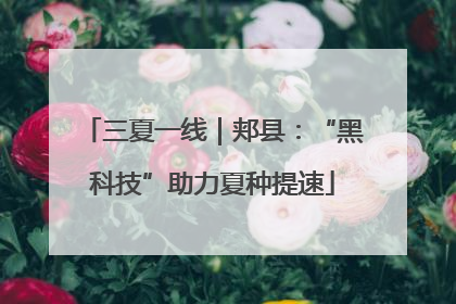 三夏一线｜郏县：“黑科技”助力夏种提速