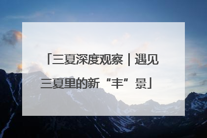 三夏深度观察｜遇见三夏里的新“丰”景