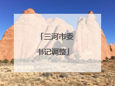 三河市委书记调整