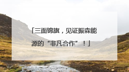 三面锦旗，见证振森能源的“非凡合作”！