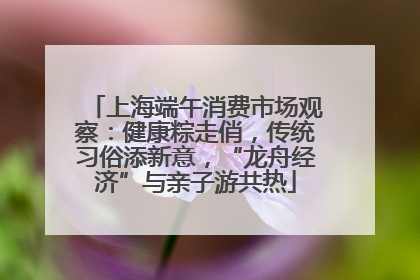 上海端午消费市场观察：健康粽走俏，传统习俗添新意，“龙舟经济”与亲子游共热