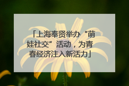上海奉贤举办“萌娃社交”活动，为青春经济注入新活力