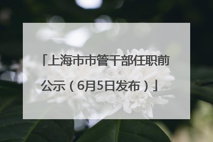 上海市市管干部任职前公示（6月5日发布）