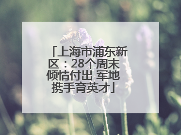 上海市浦东新区：28个周末倾情付出 军地携手育英才