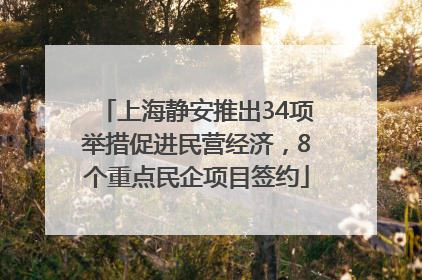 上海静安推出34项举措促进民营经济，8个重点民企项目签约