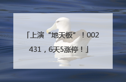 上演“地天板”！002431，6天5涨停！