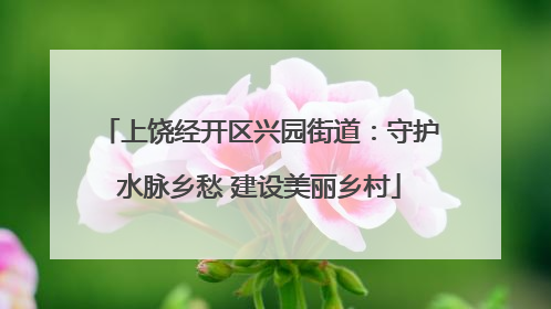 上饶经开区兴园街道：守护水脉乡愁 建设美丽乡村