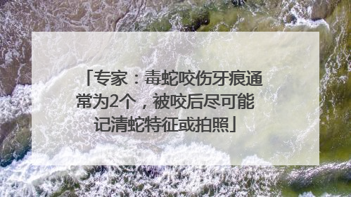 专家：毒蛇咬伤牙痕通常为2个，被咬后尽可能记清蛇特征或拍照
