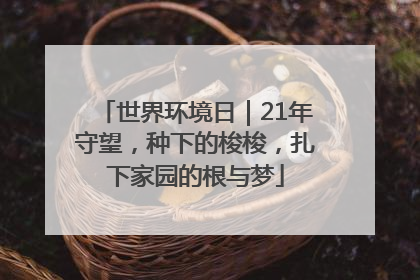 世界环境日｜21年守望，种下的梭梭，扎下家园的根与梦