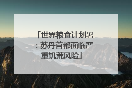 世界粮食计划署：苏丹首都面临严重饥荒风险