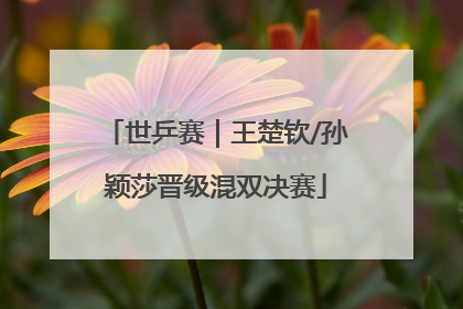 世乒赛｜王楚钦/孙颖莎晋级混双决赛