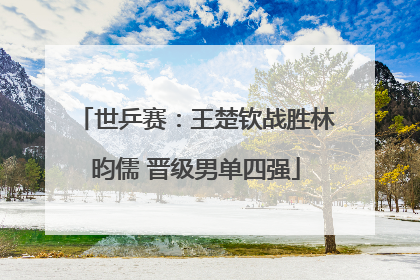 世乒赛：王楚钦战胜林昀儒 晋级男单四强