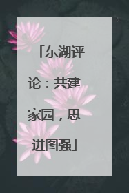 东湖评论：共建家园，思进图强