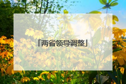 两省领导调整