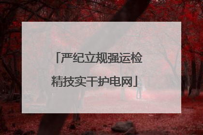 严纪立规强运检 精技实干护电网
