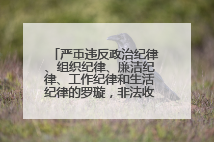 严重违反政治纪律、组织纪律、廉洁纪律、工作纪律和生活纪律的罗璇，非法收受他人巨额财物