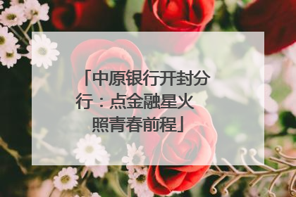中原银行开封分行：点金融星火 照青春前程