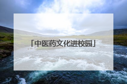 中医药文化进校园