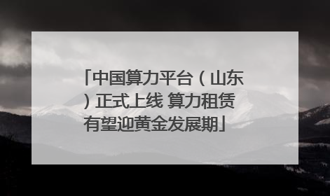 中国算力平台（山东）正式上线 算力租赁有望迎黄金发展期
