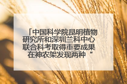 中国科学院昆明植物研究所和深圳兰科中心联合科考取得重要成果 在神农架发现两种“国保”级兰花