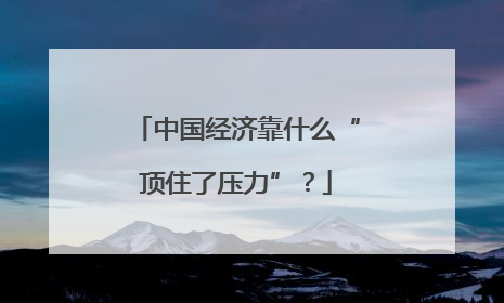 中国经济靠什么“顶住了压力”？