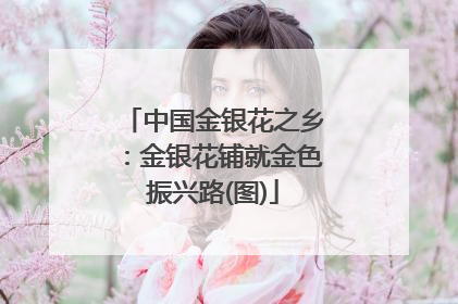 中国金银花之乡：金银花铺就金色振兴路(图)