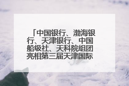 中国银行、渤海银行、天津银行、中国船级社、天科院组团亮相第三届天津国际航运展 输出航运服务“中国方案”