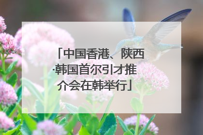 中国香港、陕西·韩国首尔引才推介会在韩举行