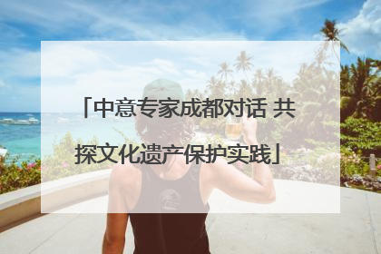 中意专家成都对话 共探文化遗产保护实践