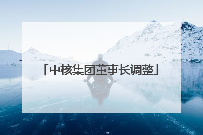 中核集团董事长调整