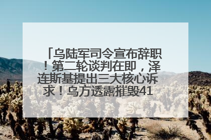 乌陆军司令宣布辞职！第二轮谈判在即，泽连斯基提出三大核心诉求！乌方透露摧毁41架俄战略轰炸机