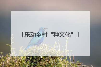 乐动乡村“种文化”