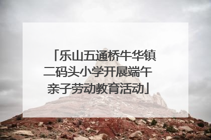 乐山五通桥牛华镇二码头小学开展端午亲子劳动教育活动