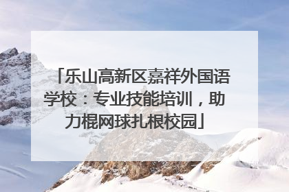乐山高新区嘉祥外国语学校：专业技能培训，助力棍网球扎根校园