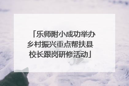 乐师附小成功举办乡村振兴重点帮扶县校长跟岗研修活动