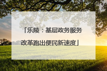 乐陵：基层政务服务改革跑出便民新速度