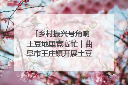乡村振兴号角响 土豆地里竞赛忙｜曲阜市王庄镇开展土豆收获劳动竞赛