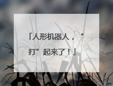 人形机器人，“打”起来了！