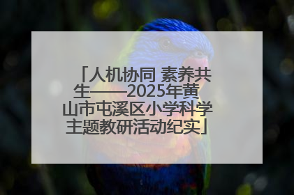 人机协同 素养共生——2025年黄山市屯溪区小学科学主题教研活动纪实