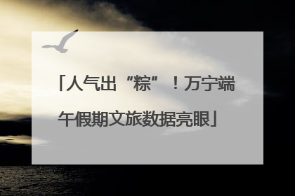 人气出“粽”！万宁端午假期文旅数据亮眼