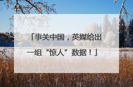 事关中国，英媒给出一组“惊人”数据！