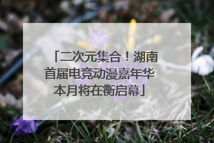 二次元集合！湖南首届电竞动漫嘉年华本月将在衡启幕