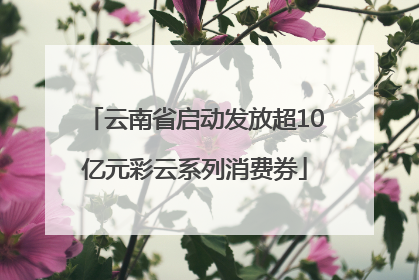 云南省启动发放超10亿元彩云系列消费券