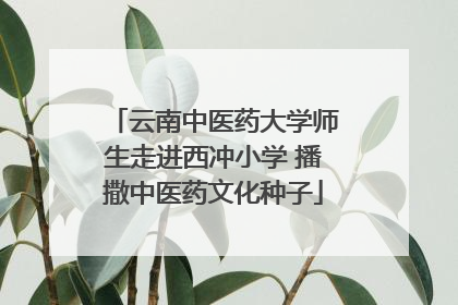 云南中医药大学师生走进西冲小学 播撒中医药文化种子