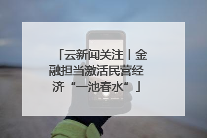 云新闻关注丨金融担当激活民营经济“一池春水”