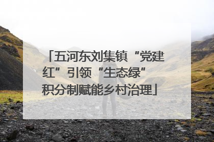 五河东刘集镇“党建红”引领“生态绿” 积分制赋能乡村治理