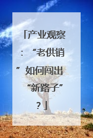 产业观察：“老供销”如何闯出“新路子”？