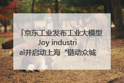 京东工业发布工业大模型Joy industrial并启动上海“链动众城 万亿降本”计划